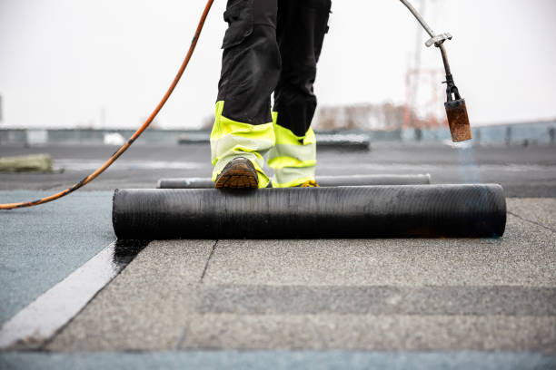 Best Roof Maintenance and Cleaning  in Sprague, WV